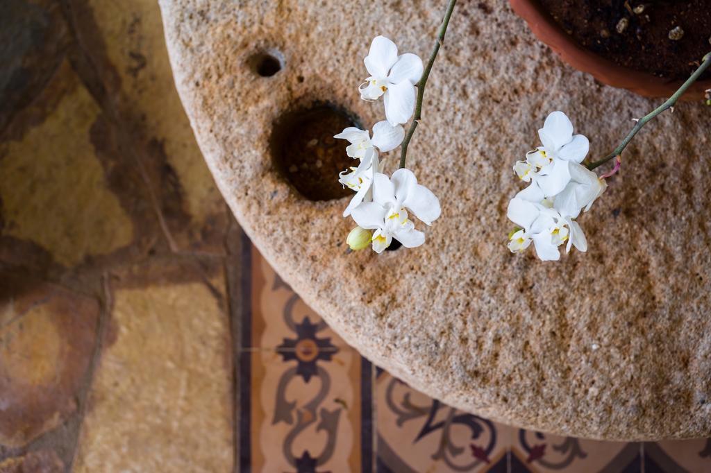 Vrysomylos Vromonerion Ngoại thất bức ảnh