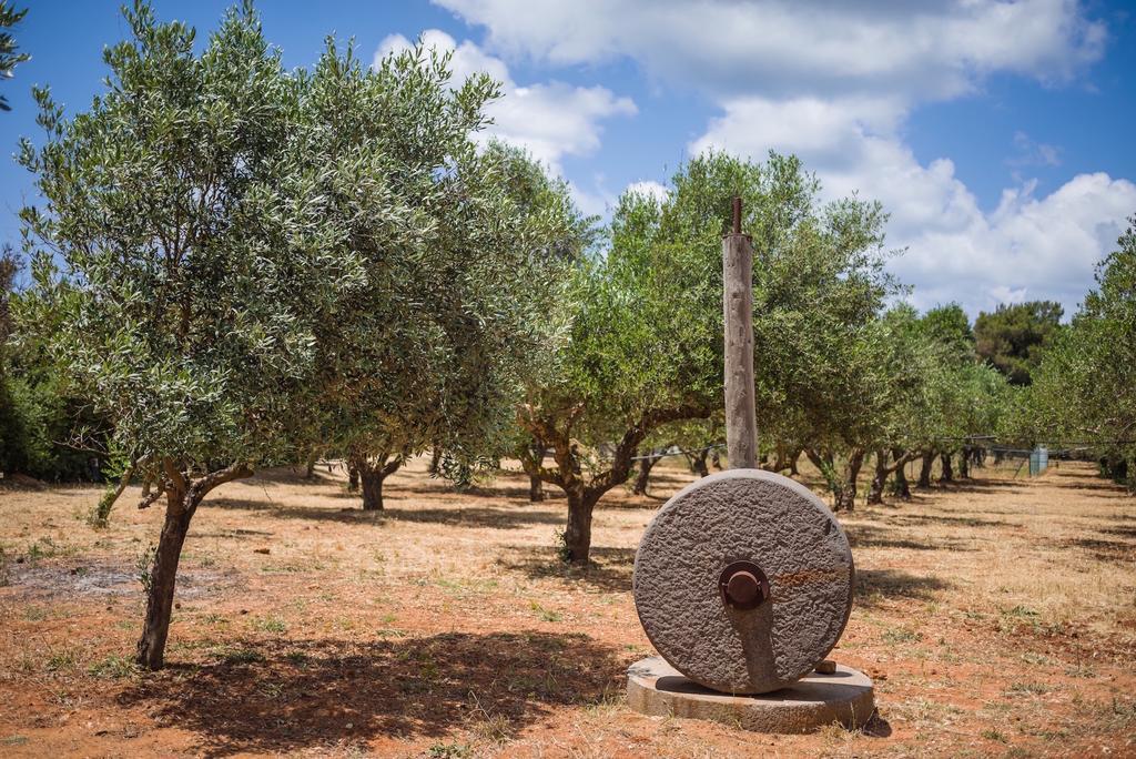 Vrysomylos Vromonerion Ngoại thất bức ảnh